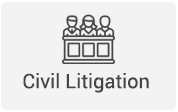 Civil Litigation Icon