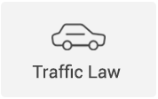 Traffic Law Icon